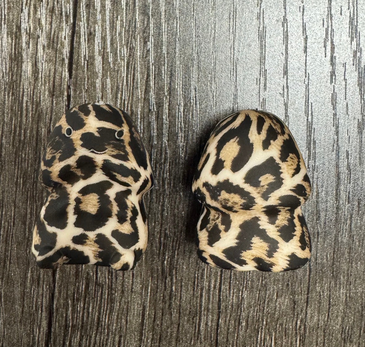 Cheetah Leopard Richard