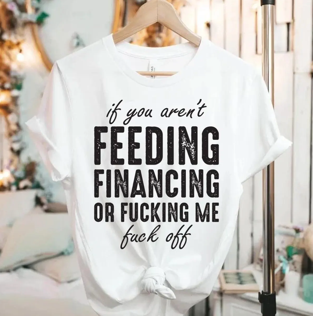 If You Aren't Feeding or Financing Me